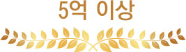 5억원 이상