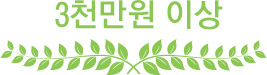 3천만원 이상