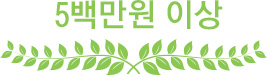 5백만원 이상